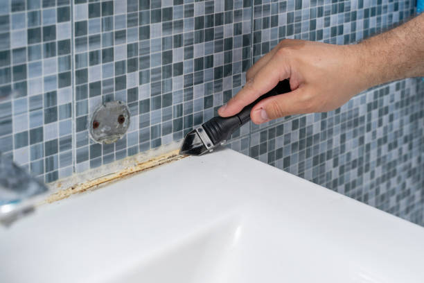 Best Mold Testing and Inspection Services in Lakes West, CT